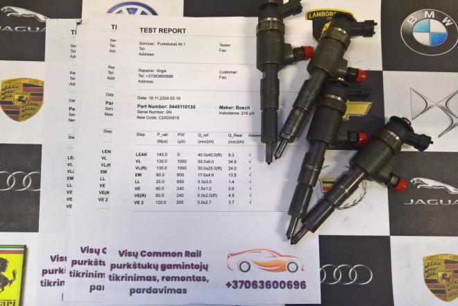 Kuro purkštukai Citroen-C2. 0445110135-0