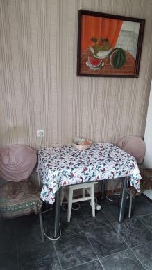 Išnuomojamas 2 kambariu butas Klaipėdoje miško rajone.-3