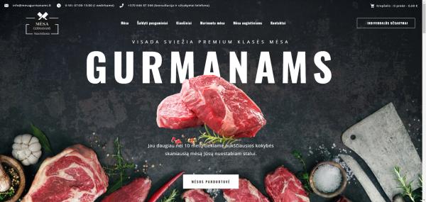 Svetainių kūrimas, El. Parduotuvių, Google reklama-6