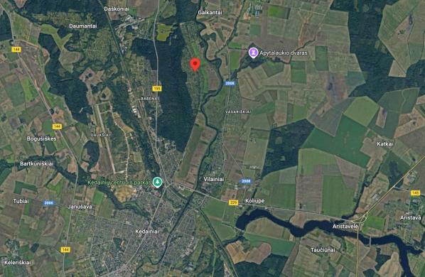 Kėdainiai, SB „Rasa“ – gamtos apsuptyje, bet netoli miesto-7