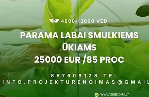 ES PROJEKTAI ŪKIUI, VERSLUI-2