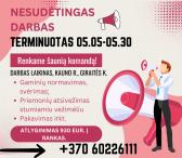 Pakuotoja (-as) laikinas darbas (Giraitės k., Kauno r.)-0
