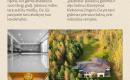 Holistinis moterų susibūrimas PAŽADINTA-7