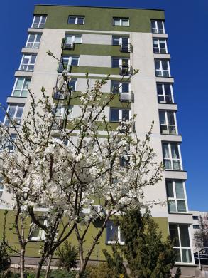 Šiaurės miestelyje, S. Žukausko g. parduodamas 45 kv.m butas-7