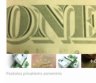 ĮVAIRIOS RIMTOS PASKOLOS SU UŽSTATU-0