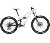 2024 Canyon Spectral CF LTD Mountain Bike (BIKOTIQUE)-0