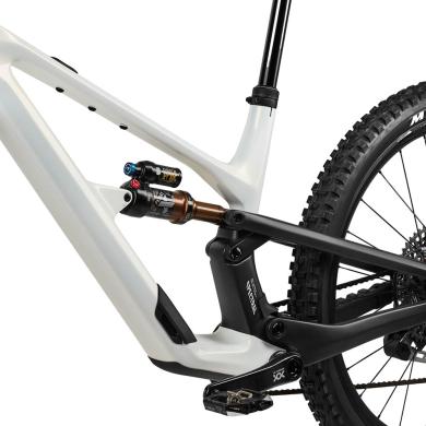 2024 Canyon Spectral CF LTD Mountain Bike (BIKOTIQUE)-1