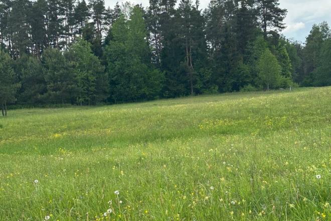 Parduodamas 0,3940 ha sklypas su giluminiais vandens gręžiniais – unikali galimybė verslui, investicijai ar gamybai Alytaus r. sav., Nemunaičio sen., Užupių k., Miškininkų g. 1D-0