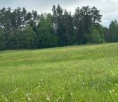 Parduodamas 0,3940 ha sklypas su giluminiais vandens gręžiniais – unikali galimybė verslui, investicijai ar gamybai Alytaus r. sav., Nemunaičio sen., Užupių k., Miškininkų g. 1D-0