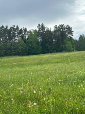 Parduodamas 0,3940 ha sklypas su giluminiais vandens gręžiniais – unikali galimybė verslui, investicijai ar gamybai Alytaus r. sav., Nemunaičio sen., Užupių k., Miškininkų g. 1D-0