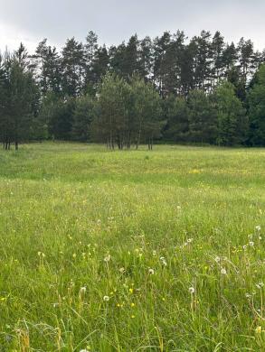 Parduodamas 0,3940 ha sklypas su giluminiais vandens gręžiniais – unikali galimybė verslui, investicijai ar gamybai Alytaus r. sav., Nemunaičio sen., Užupių k., Miškininkų g. 1D-1
