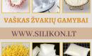 Vaškas žvakėms gaminti-1