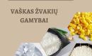 Vaškas žvakėms gaminti-2