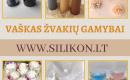 Vaškas žvakėms gaminti-6