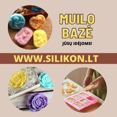 Bazinis muilas-3