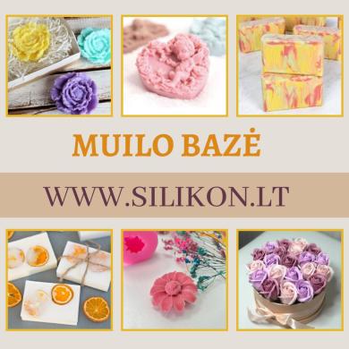 Bazinis muilas-4