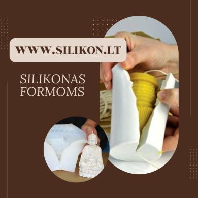 Silikonas formoms-3