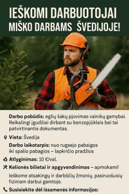 Trumpalaikis darbas Švedijojos miškuose!-0