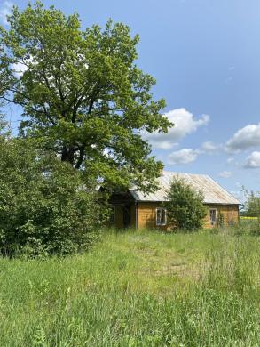 Sodyba Bajoruose, Skapiškio seniūnijoje-2