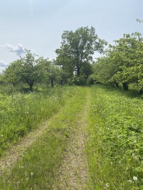 Sodyba Bajoruose, Skapiškio seniūnijoje-3
