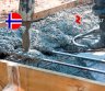 Betonuotojai – darbas Norvegijoje (1981)-0