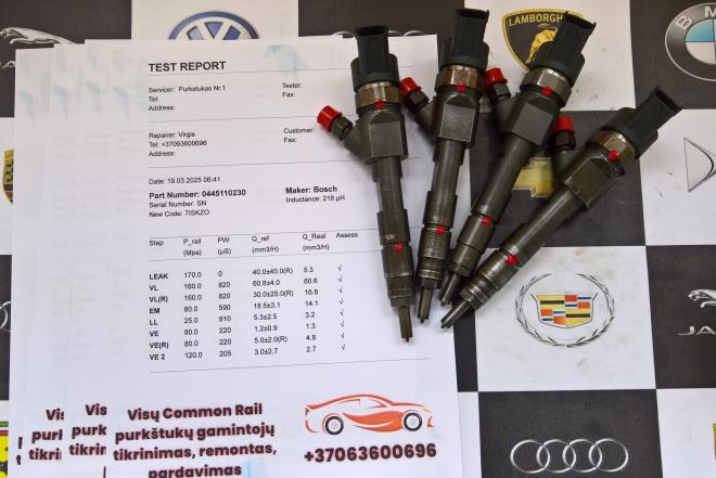Kuro purkštukai Renault-Laguna. 0445110230-0
