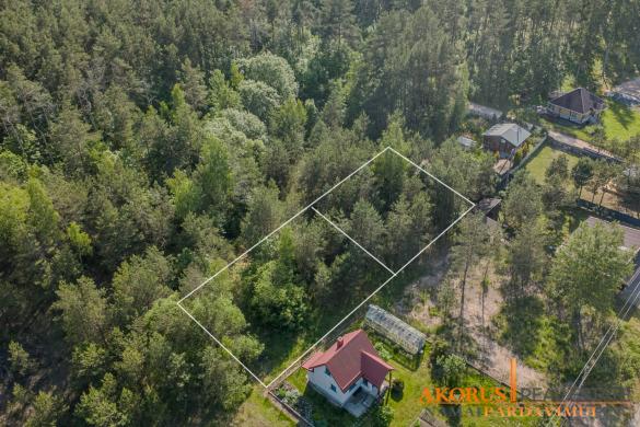 sklypaipardavimui.lt - sklypas ribojasi su mišku-0
