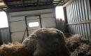 Pard Mūrinis Pigiai Namas 104.42 m² Su Ūkiniais Pastatais, Žemės 25,13 Sklypu-6