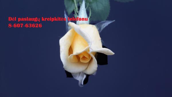 Studentams, doktorantams, mokytojams, lektoriams +37060763626-0