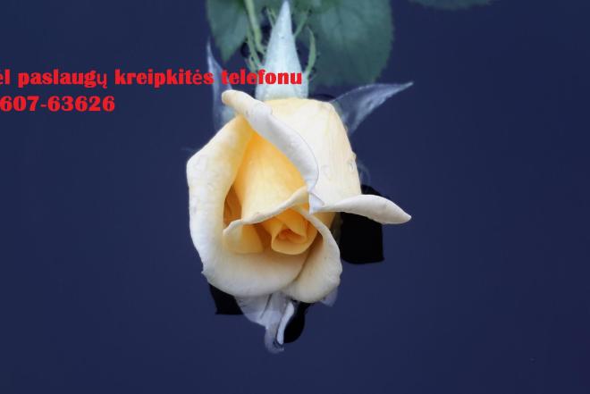 Studentams, doktorantams, mokytojams-0