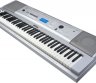 Muzikanto paslaugos-0