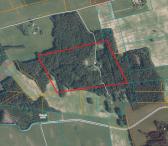 16,33 ha žemės – miško sklypas Kupiškio r.-0