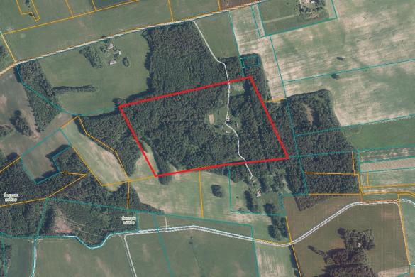 16,33 ha žemės – miško sklypas Kupiškio r.-0
