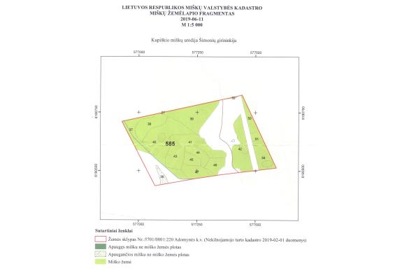 16,33 ha žemės – miško sklypas Kupiškio r.-1