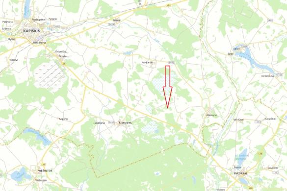 16,33 ha žemės – miško sklypas Kupiškio r.-3