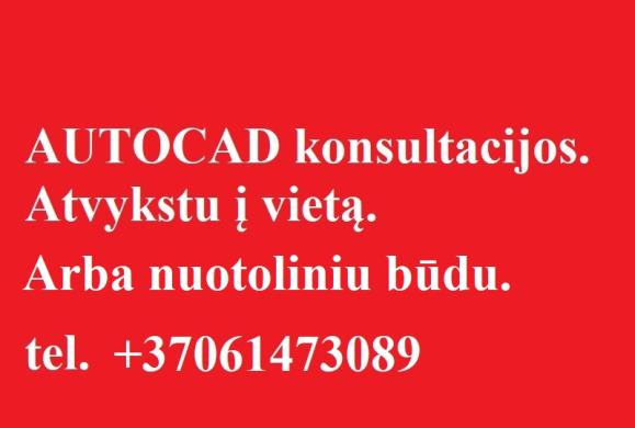AUTOCAD konsultacijos, atvykstu į vietą arba konsultuoju nuotoliniu būdų 861473089-0