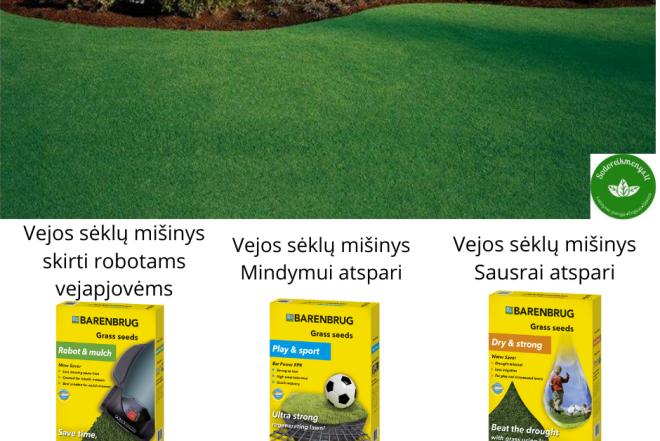 Žolės sėklos, trąšos vejai, dekoratyvinis mulčas pirkimas internetu www.sodoreikmenys.lt-0