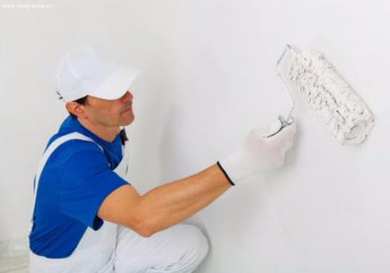 Ieškomas dažytojas-0