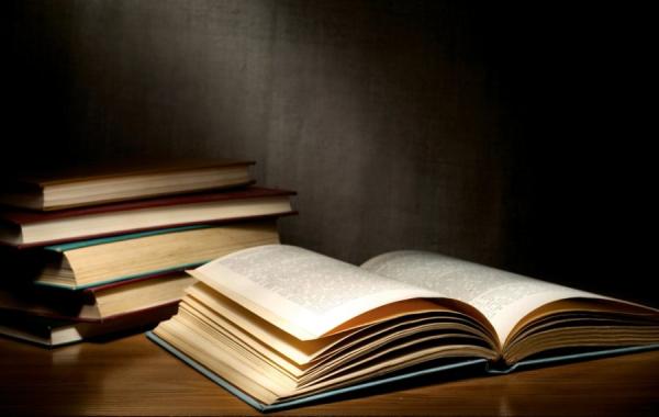 Profesionalus bei indvidualus konsultavimas rengiant mokslinius darbus-0