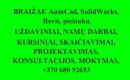 BRĖŽINIAI (AutoCAD, SolidWorks, pieštuku, Revit) ir SKAIČIAVIMAI-0