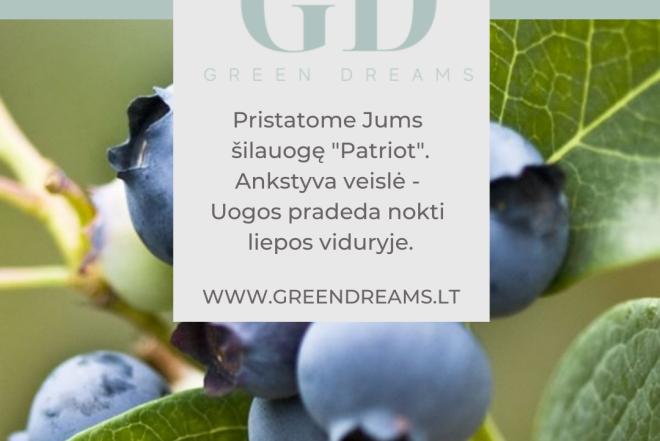 PARDUODAME ŠILAUOGIŲ SODINUKUS “PATRIOT” EL. PARDUOTUVĖJE “GREEN DREAMS LT”-0