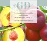 PARDUODAME VAISMEDŽIŲ SODINUKUS: TREŠNĖS, VYŠNIA, ABRIKOSAI, NEKTARINAI, SLYVA, AKTINIDIJA el. parduotuvėje www.Greendreams.lt-0