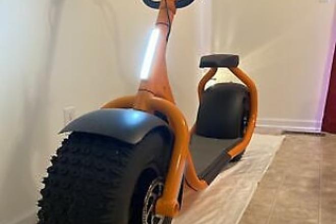 3000 Watts Newest fat Tyre Citycoco Electric Scooter-0
