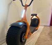 3000 Watts Newest fat Tyre Citycoco Electric Scooter-0