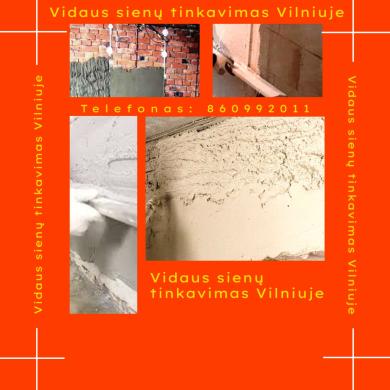 Vidaus sienu tinkavimas Vilniuje-0