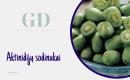 EL. PARDUOTUVĖ “GREEN DREAMS LT” PARDUODA AKTINIDIJŲ SODINUKUS-0