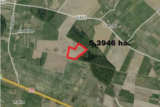 ŽŪ sklypas Kaišiadorių r. sav., Uogintai-0