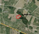 ŽŪ sklypas Kaišiadorių r. sav., Uogintai-0