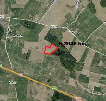 ŽŪ sklypas Kaišiadorių r. sav., Uogintai-0