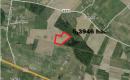 ŽŪ sklypas Kaišiadorių r. sav., Uogintai-0